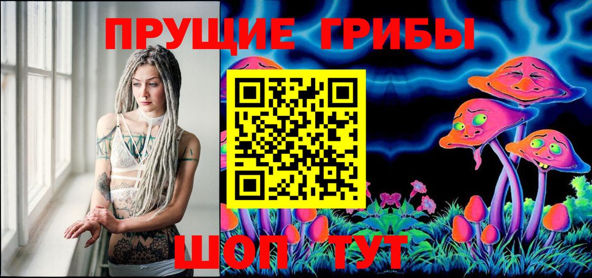Кызыл  Псилоцибиновые грибы GOLDEN TEACHER  как найти закладки  Вход с VPN  Галлюциногенные грибы Magic Shrooms 