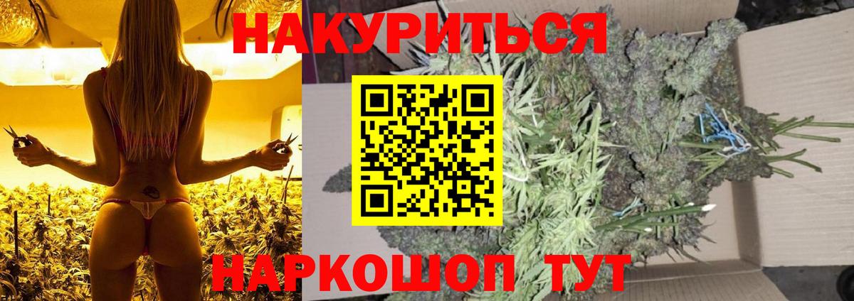 Канабис SATIVA & INDICA Кызыл